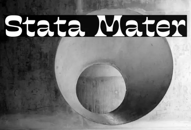 Stata Mater Polices examples