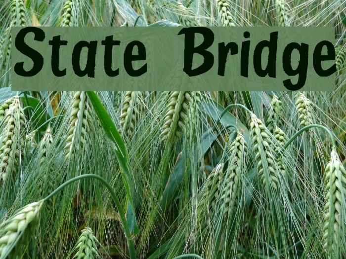 State Bridge Font examples