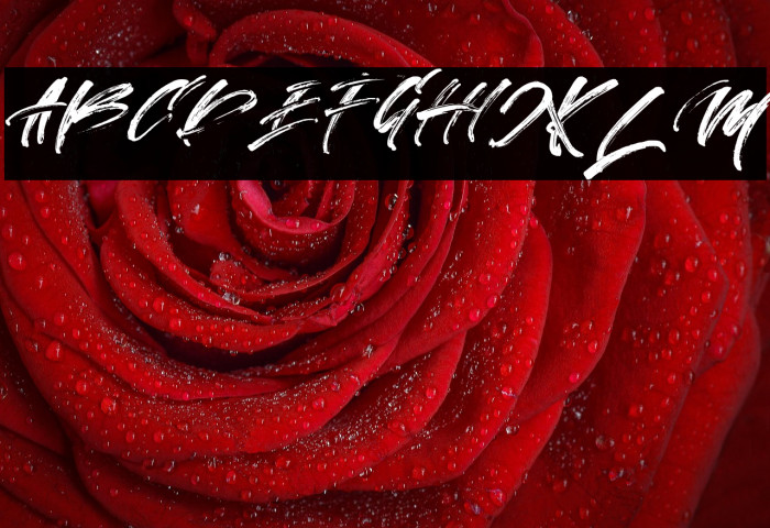 State Moques FREE Example 3