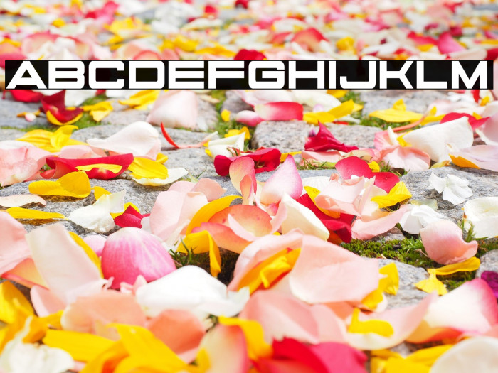 State Secret Example 3