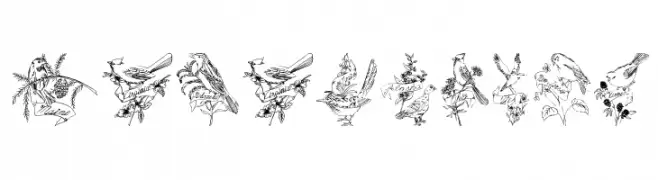 StateBirds  免费字体下载