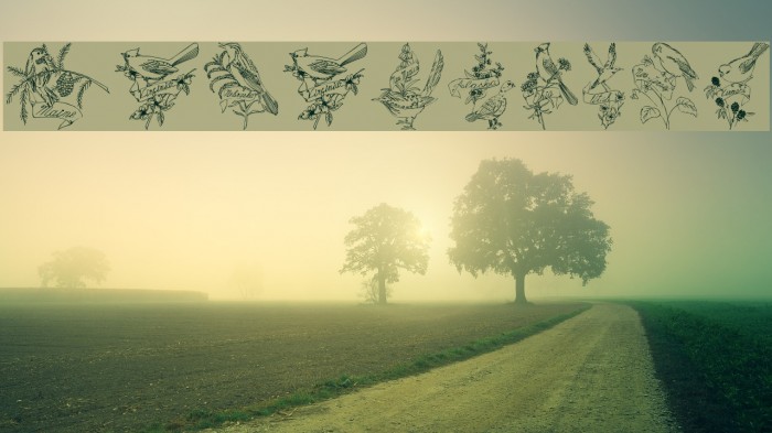 StateBirds Example 1