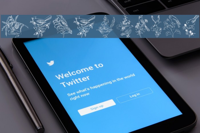 StateBirds Example 2