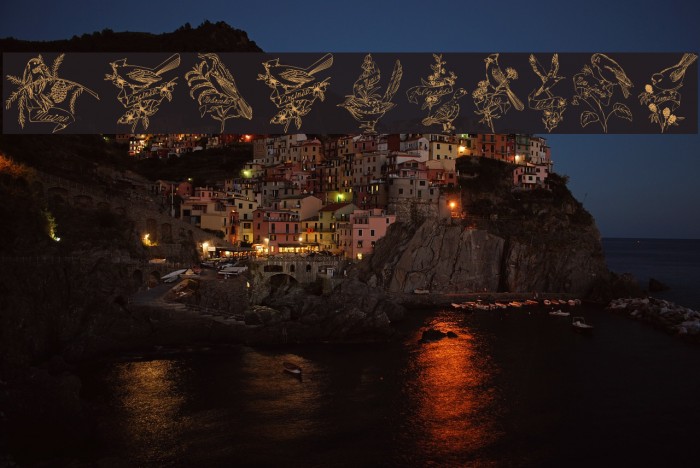 StateBirds Example 3