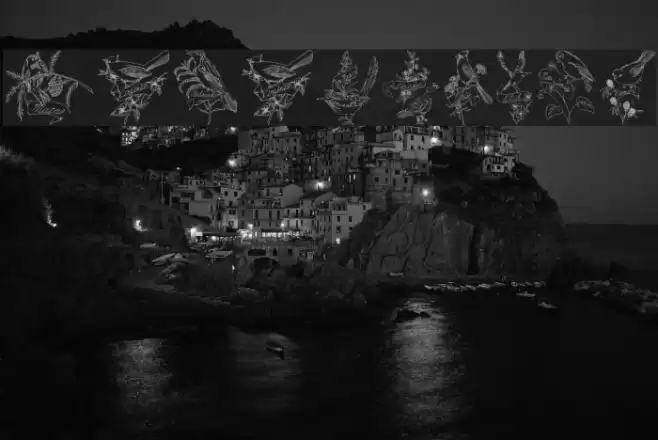 StateBirds Font examples