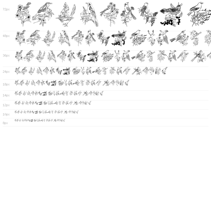 StateBirds Waterfall