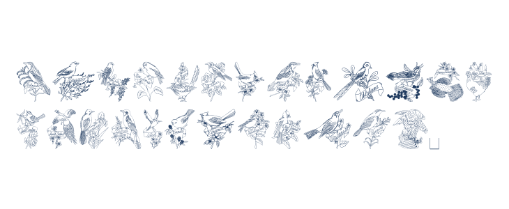 StateBirds Lowercase