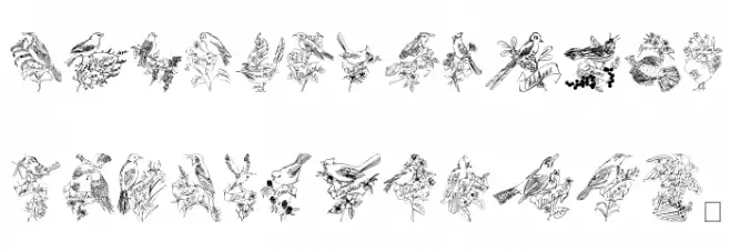 StateBirds Fuentes MINÚSCULAS