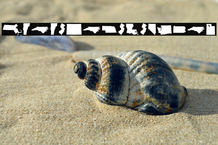 StateFace-Regular Example 1