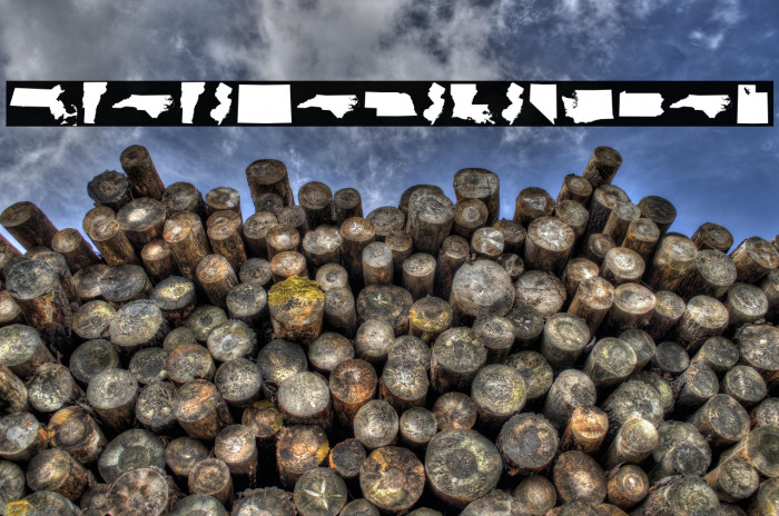 StateFace-Regular Example 2