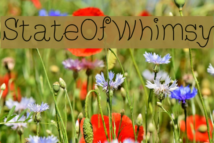 StateOfWhimsy Example 3