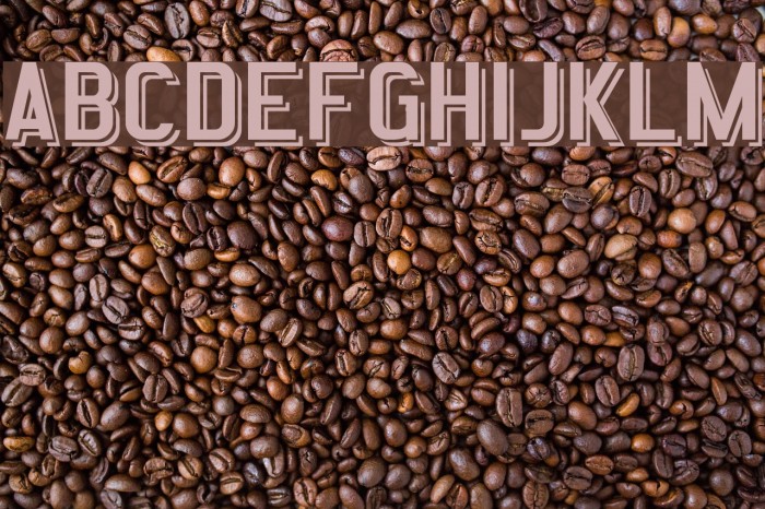 Statement Shadow Regular Font examples