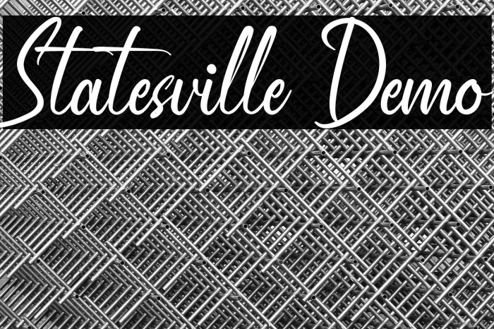 Statesville Demo Example 2