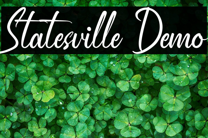Statesville Demo Example 3