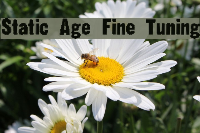 Static Age Fine Tuning Font examples