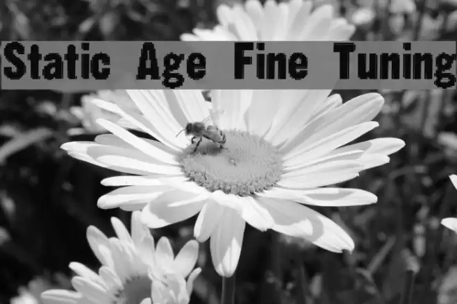 Static Age Fine Tuning Font examples