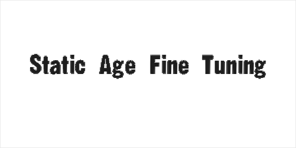 Static Age Fine Tuning Logo