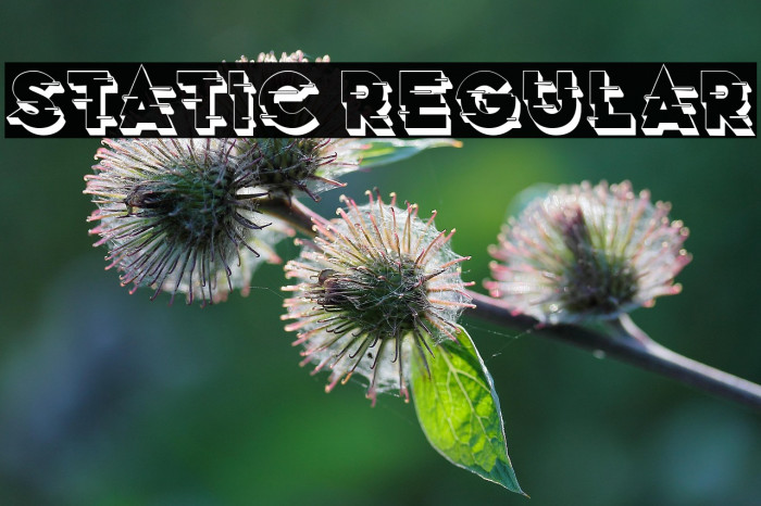 Static Regular Example 1