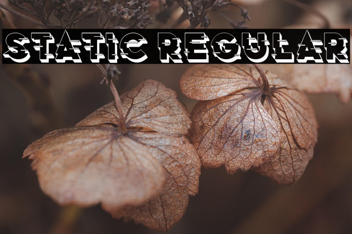 Static Regular Example 2