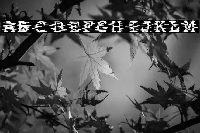 Static Fonte examples