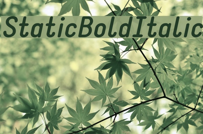 StaticBoldItalic Font examples
