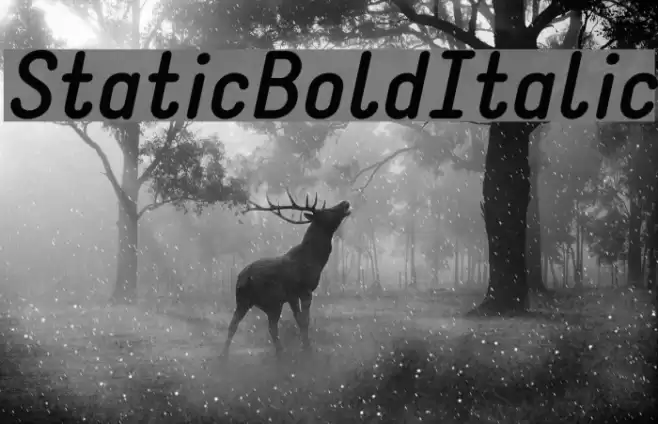 StaticBoldItalic Font examples