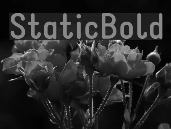 StaticBold  examples