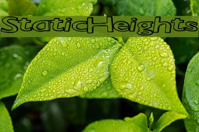 StaticHeights Example 2