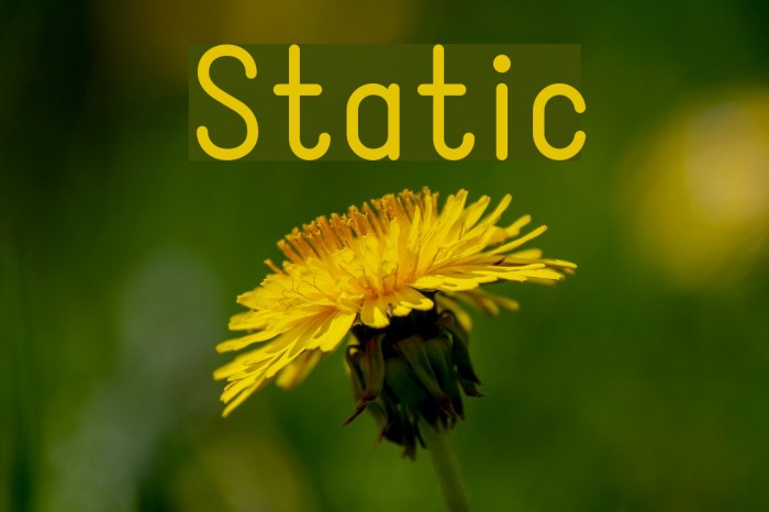 Static Font examples
