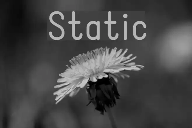 Static  examples