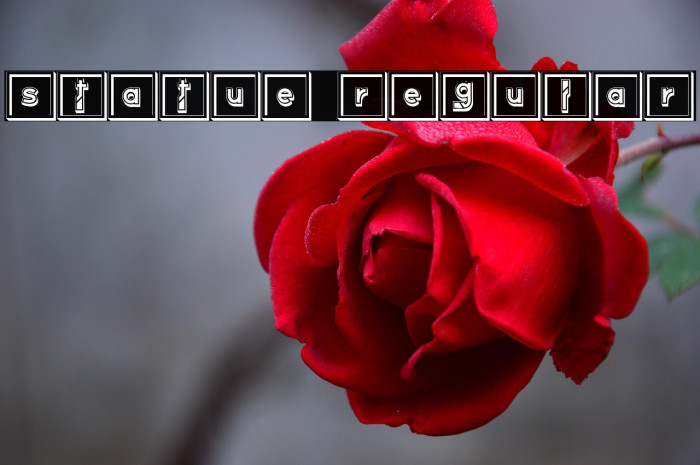 Statue Regular Example 2