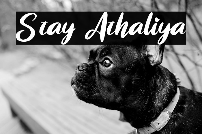 Stay Athaliya Example 2