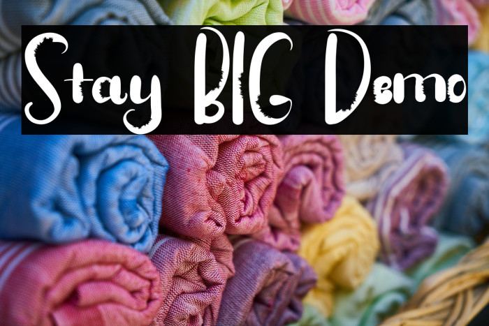 Stay BIG Demo Example 1