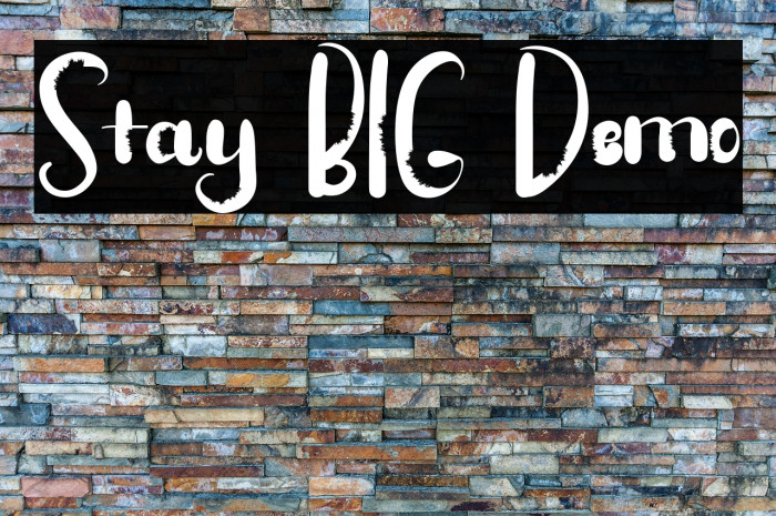 Stay BIG Demo Example 2