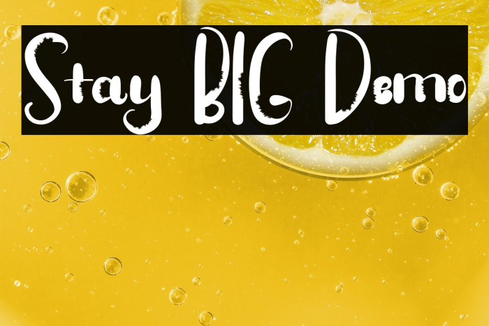 Stay BIG Demo Example 3