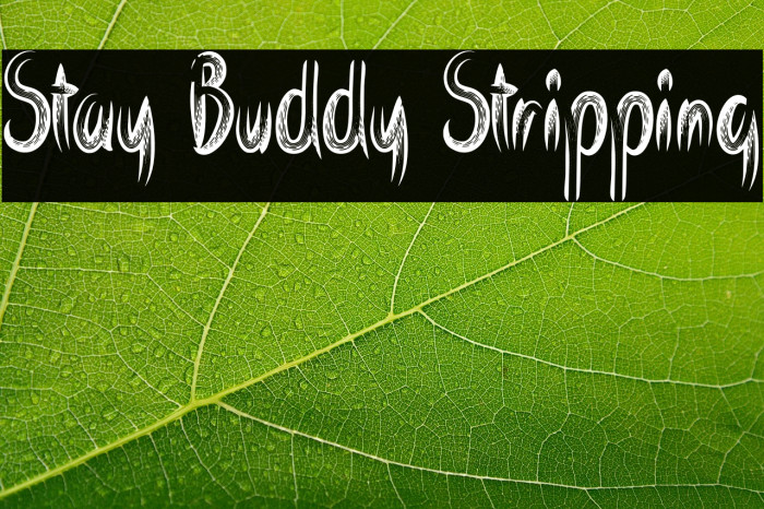 Stay Buddy Stripping Example 3