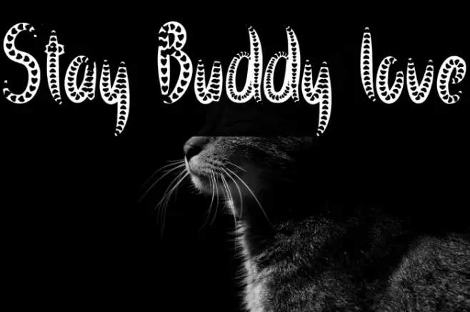 Stay Buddy love Font examples