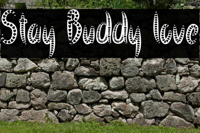 Stay Buddy love Example 2