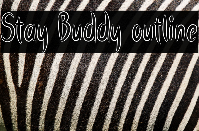 Stay Buddy outline Example 1