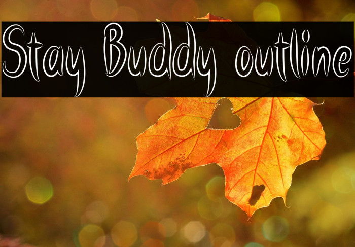 Stay Buddy outline Example 2
