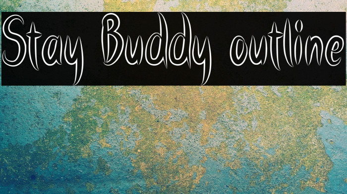 Stay Buddy outline Example 3