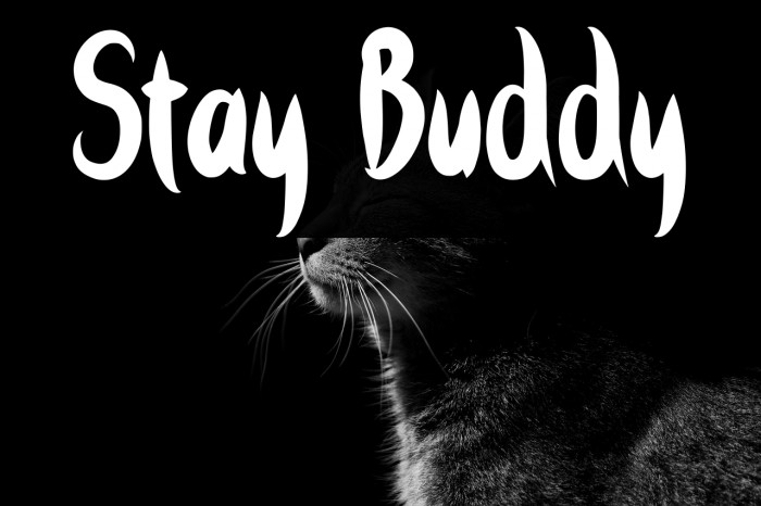 Stay Buddy Example 1