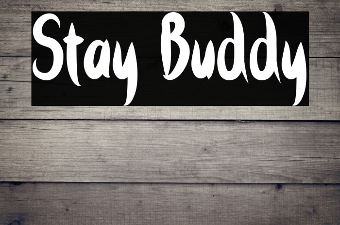 Stay Buddy Example 2