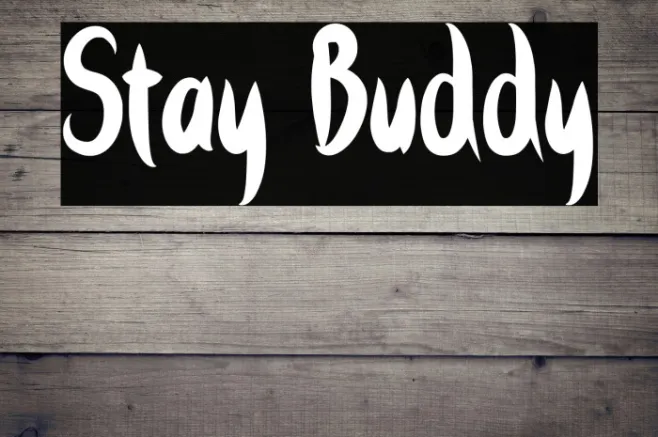 Stay Buddy Example 2