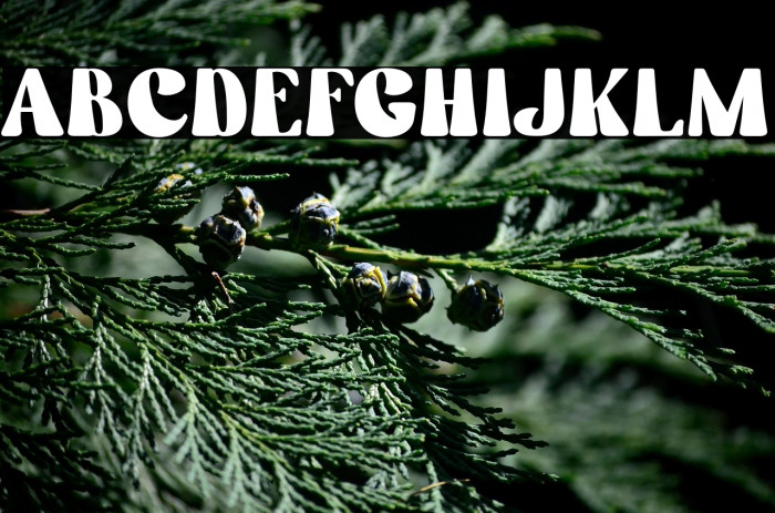 Stay Calm Personal Use Example 2