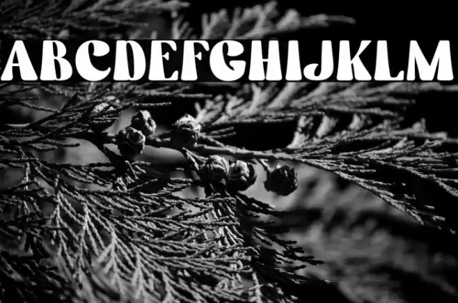 Stay Calm Personal Use 字体 examples