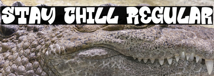 Stay Chill Regular Шрифта examples