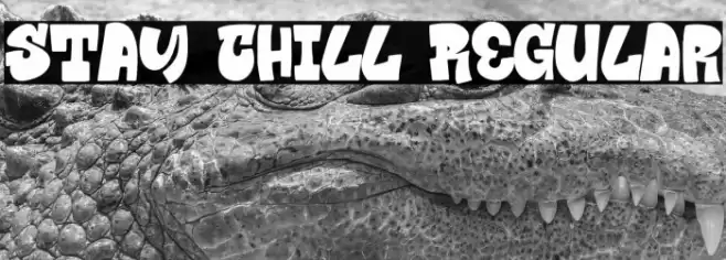 Stay Chill Regular Font examples