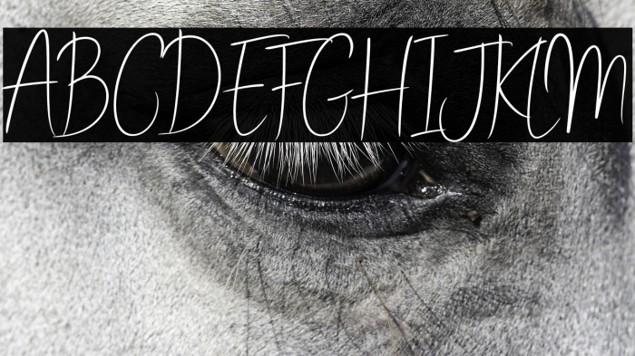 Stay Classy SLDT Example 2