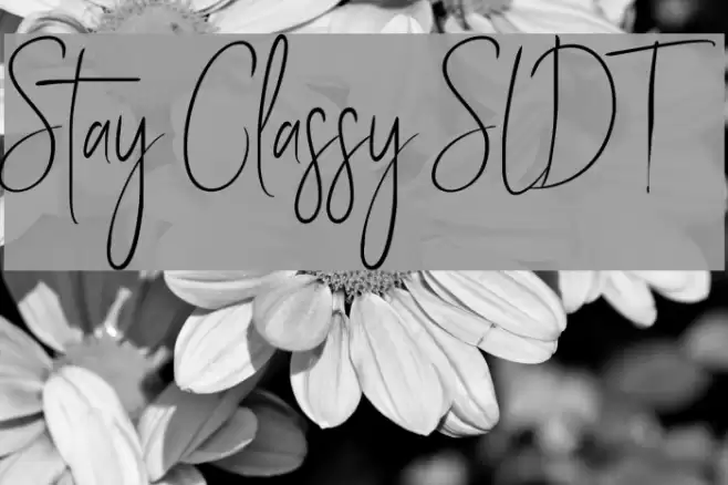 Stay Classy SLDT Font examples